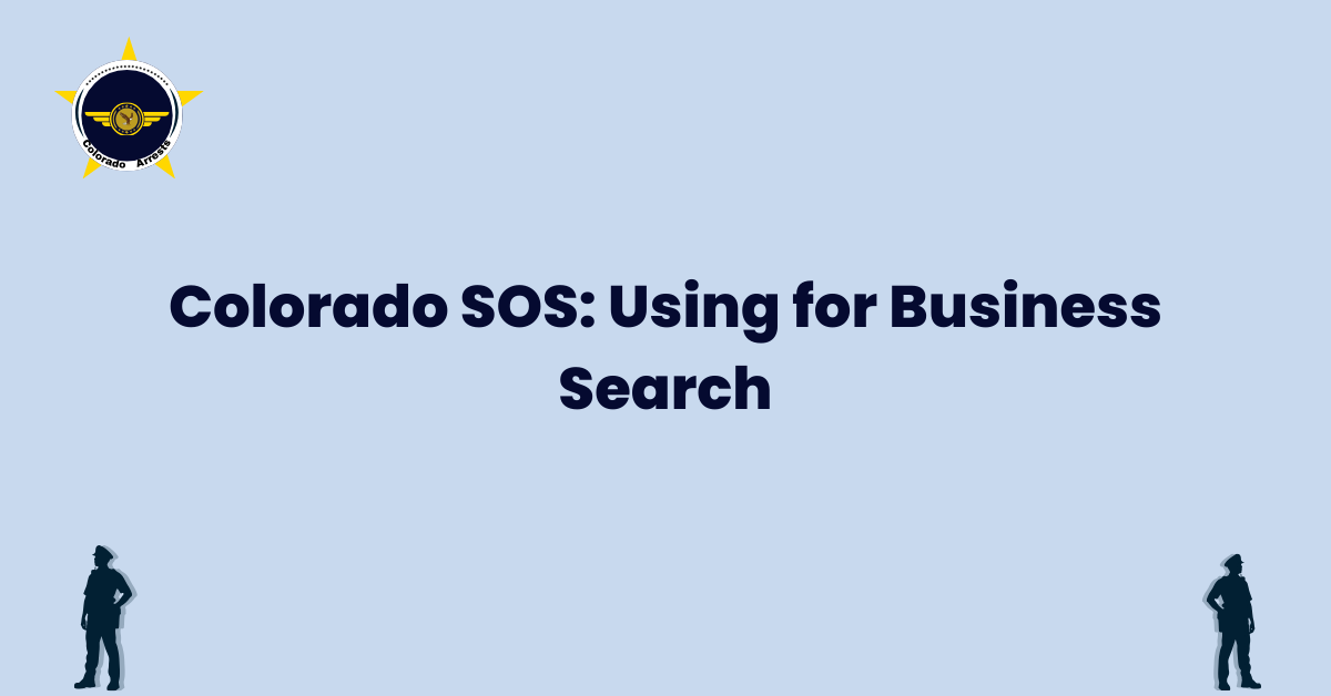 Colorado SOS Using for Business Search